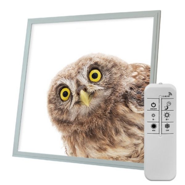 Stmívatelný LED panel s motivem sova 60x60cm 40W 4200lm CCT, s dálkovým ovládáním